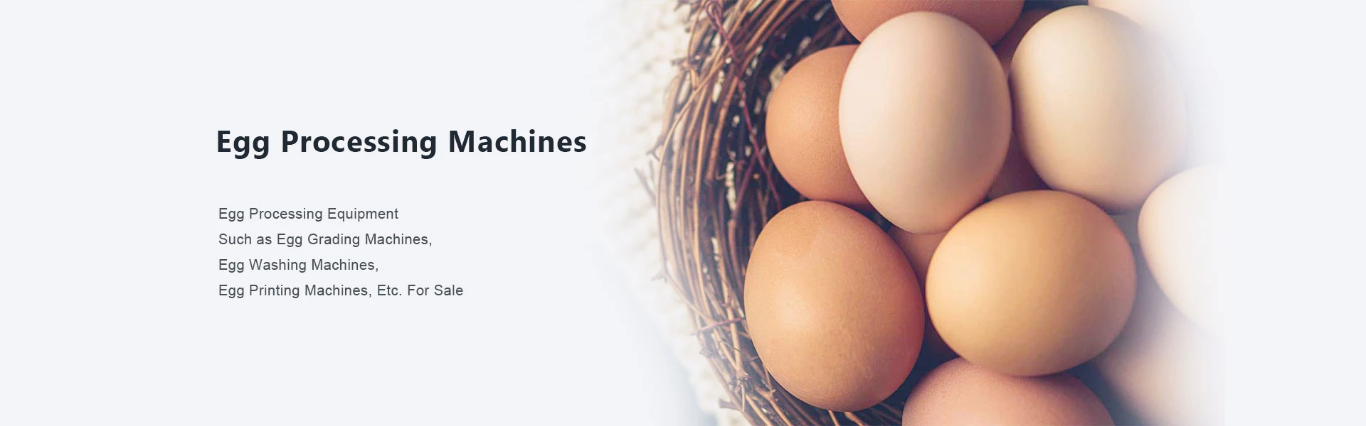 machines à œufs
