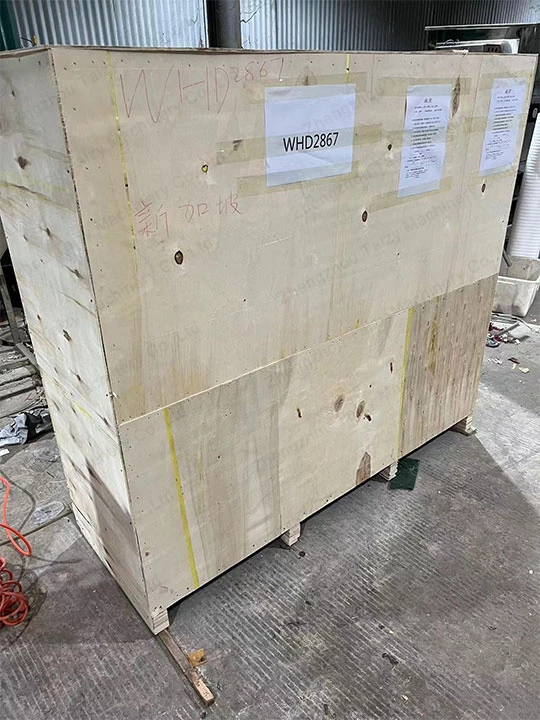 máquina de descascar cebola enviada para Singapura