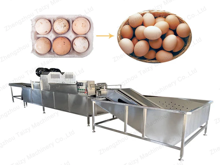 máquina limpiadora de huevos