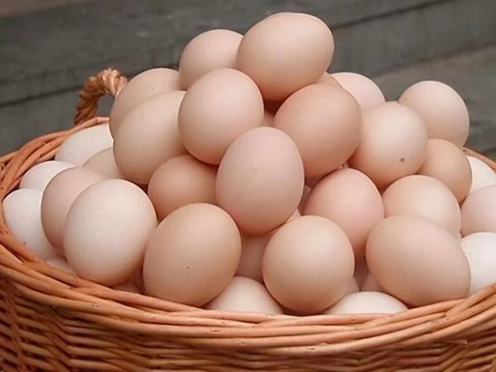 eggs