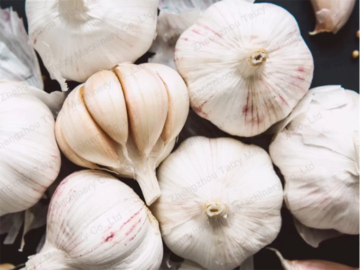 high quality garlic