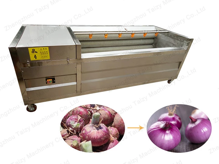 industrial onion washing machine