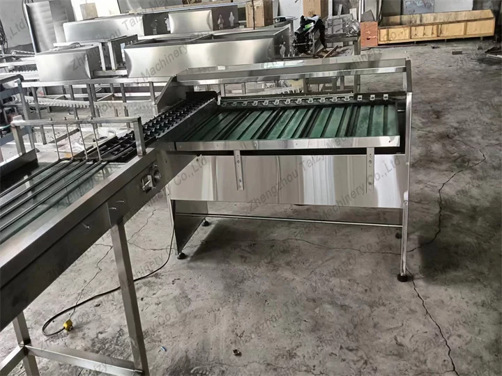 egg grading machine