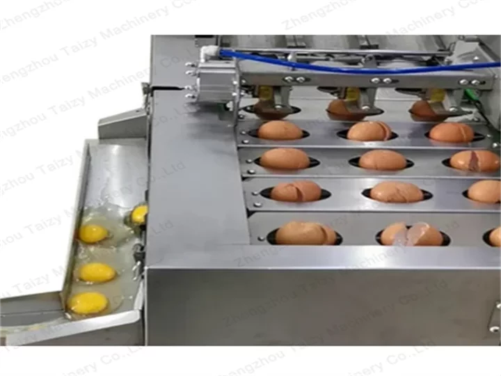 egg yolk separator machine