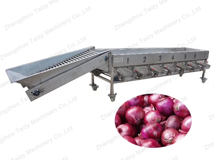 onion grading machine