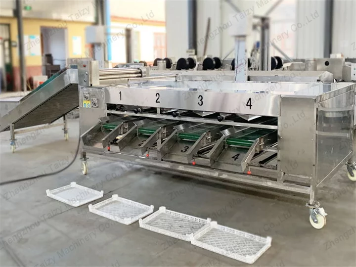 onion sorter with grading roller