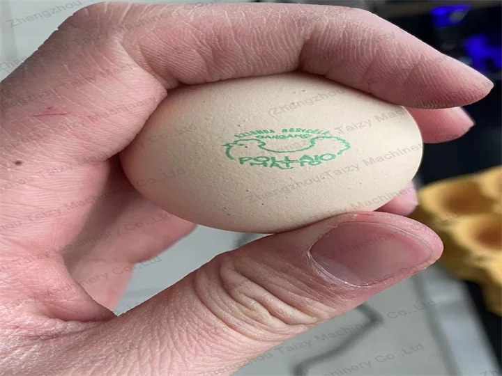 printed eggs