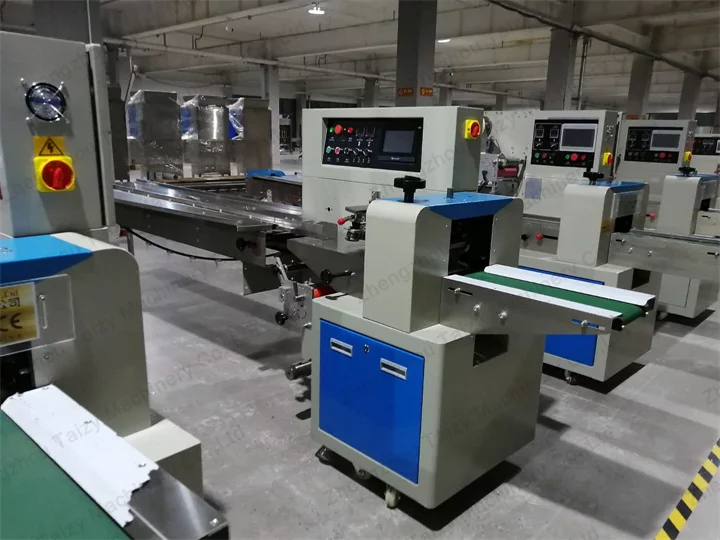 TZ-350 pillow packaging machine