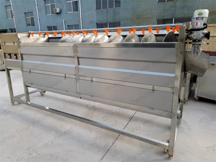 carrot washing and peeling machine