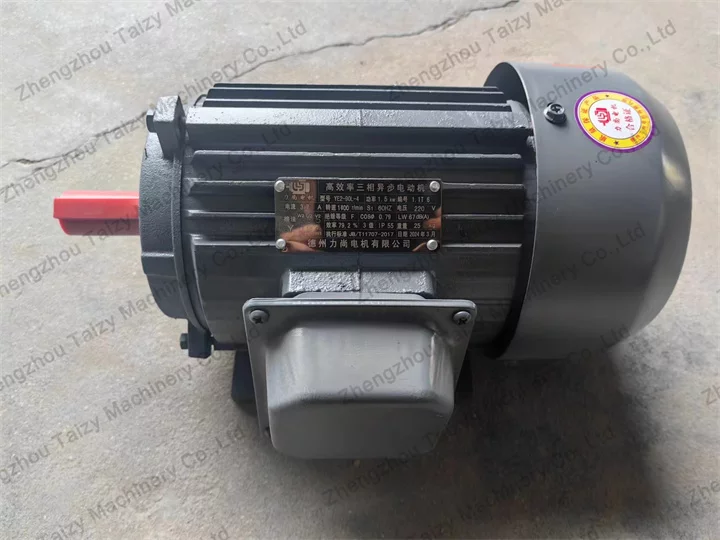 electric motor