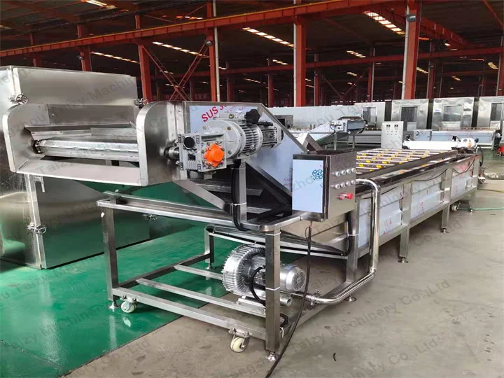 food washing machine plant