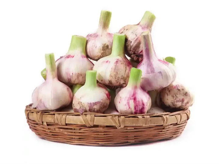 fresh garlic without root steam