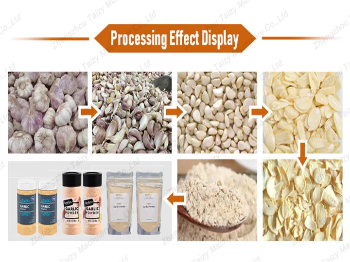 proceso de producción y envasado de ajo en polvo