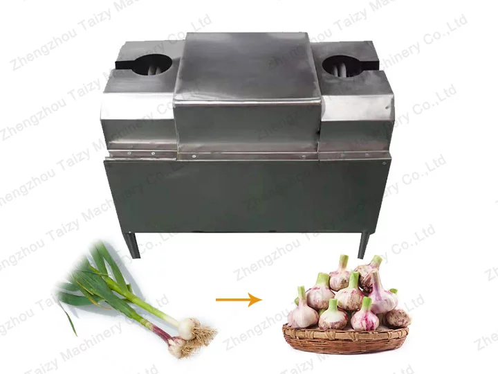 garlic root and stem cutting machine