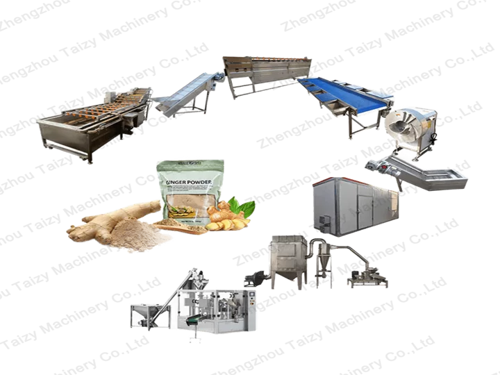 ginger powder processing machines