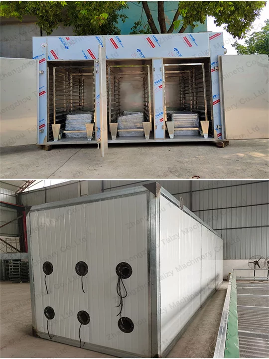 various types of onion dryer