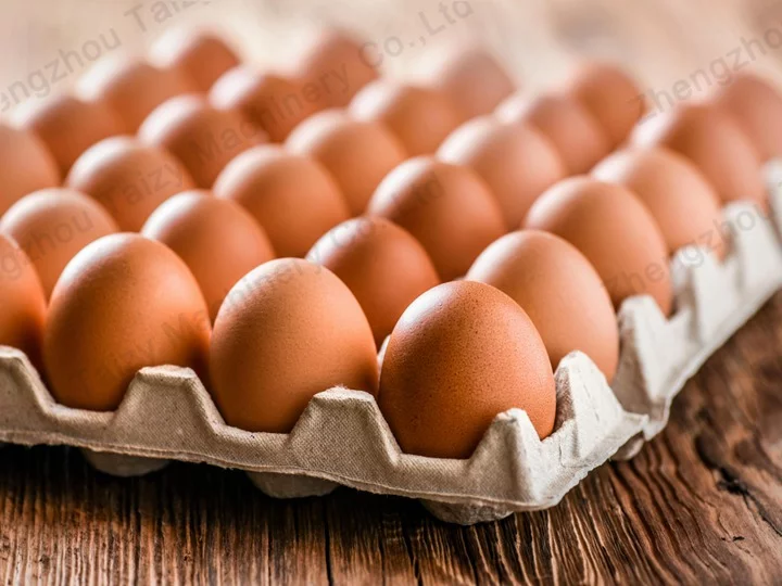 Eggs of the same size