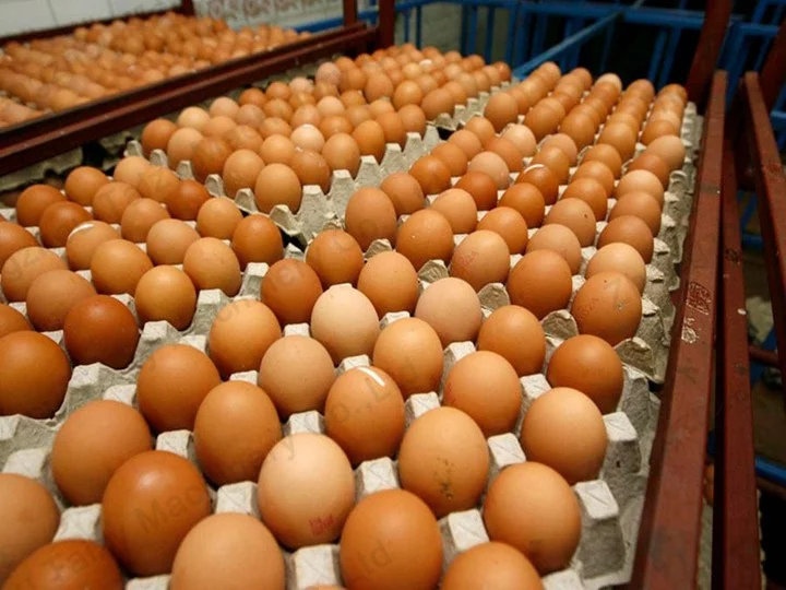 Eggs on supermarket shelves