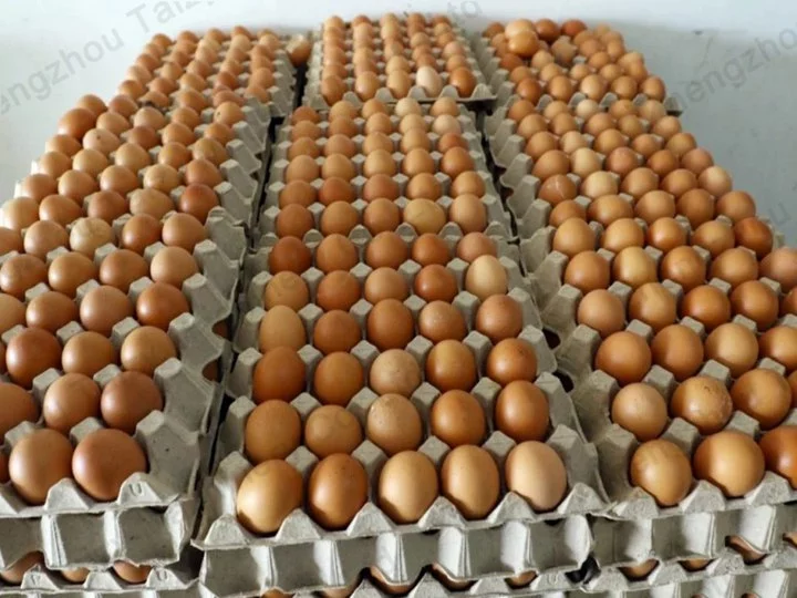 Neat eggs