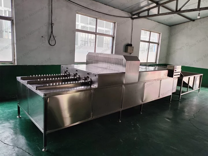 egg washingmachine