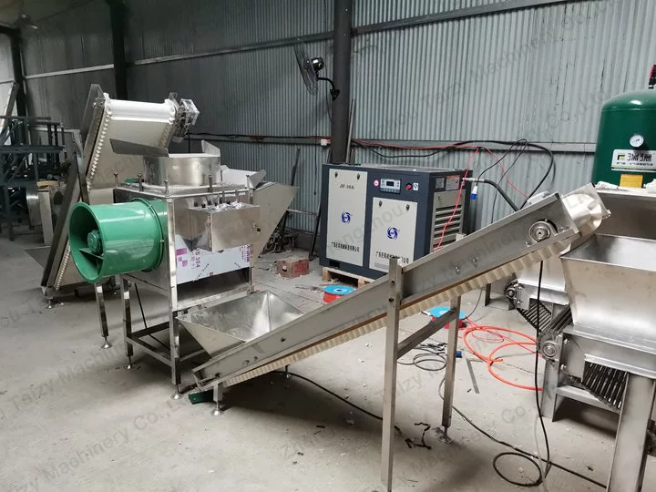 garlic peeling machine line