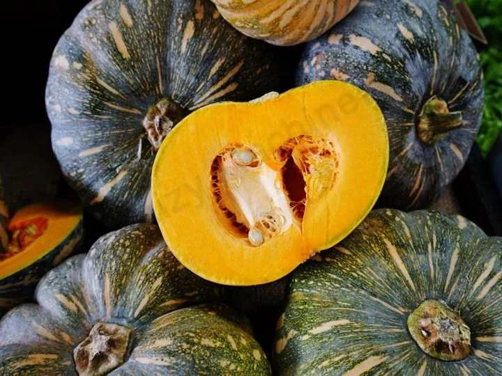 pumpkin