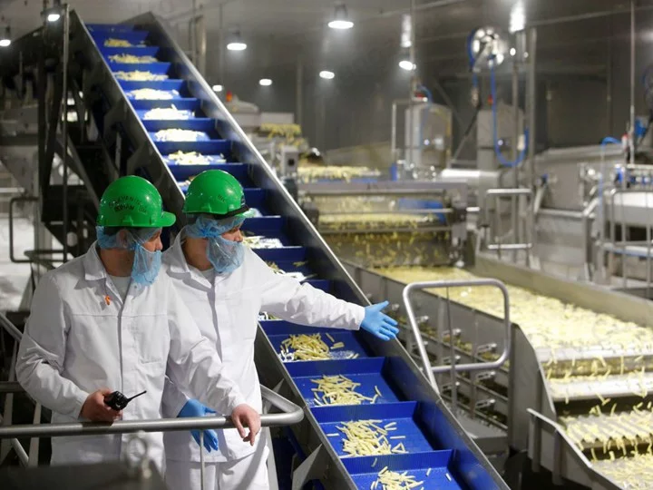 French fries factory