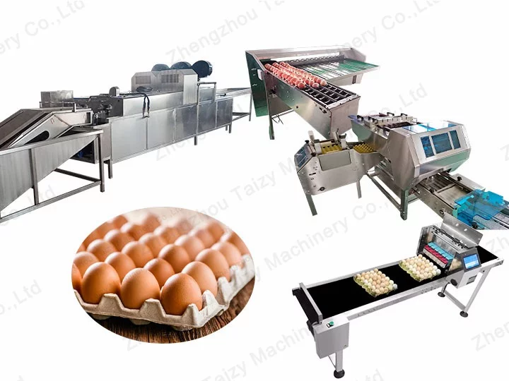 egg cleaning line