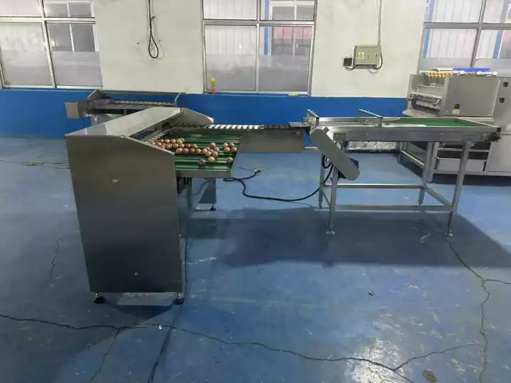 Automatic Egg Grading Machine