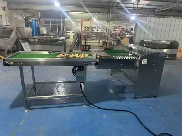 Egg Grading Machine Shipping