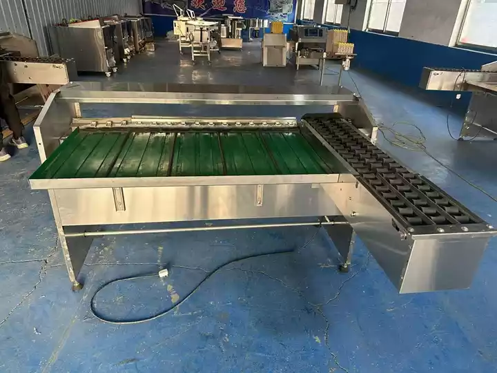 Taizy Egg Sorter