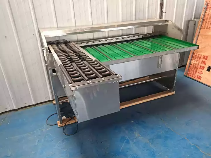 clasificador de huevos