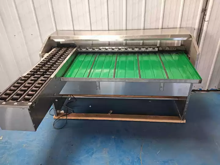 clasificadora de huevos