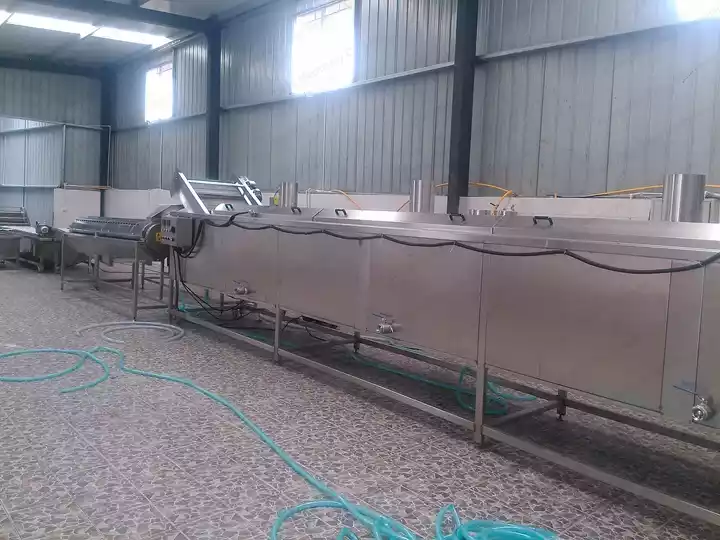 Chicken Claw Blanching Machine
