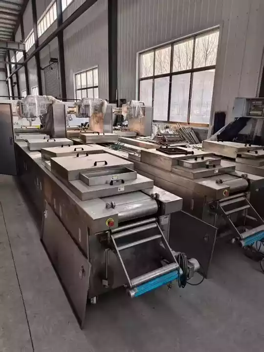 Modified Atmosphere Packaging Machine