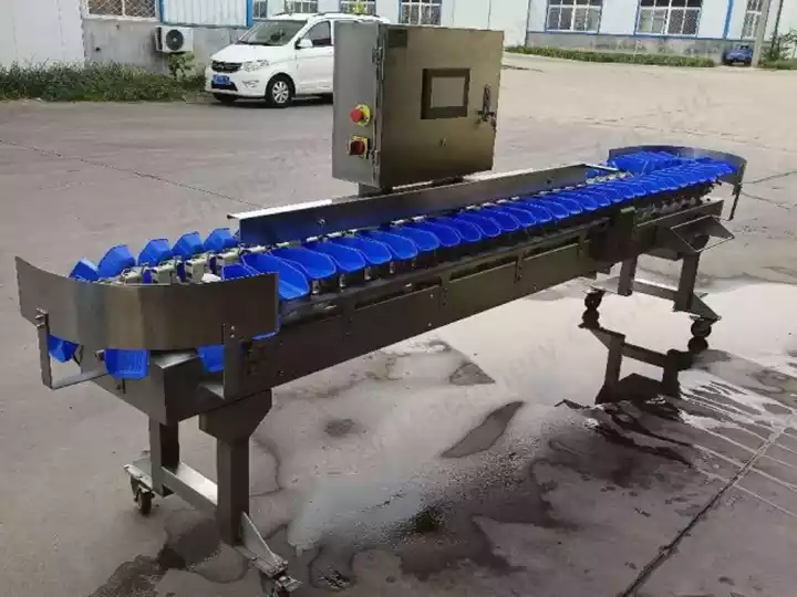 Weight Grading Machine