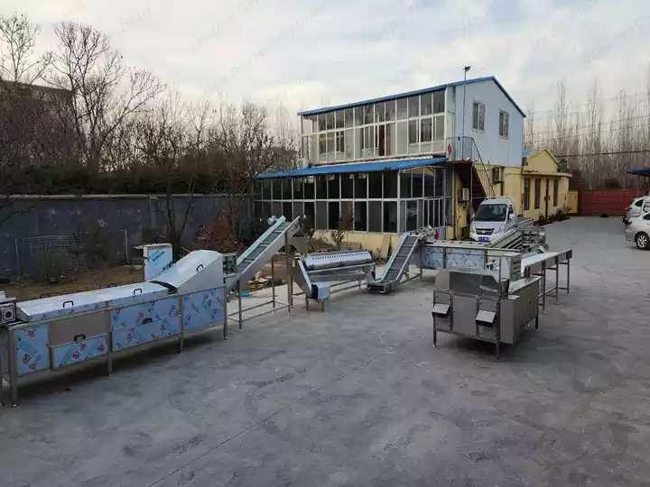 automatic chicken feet processing line