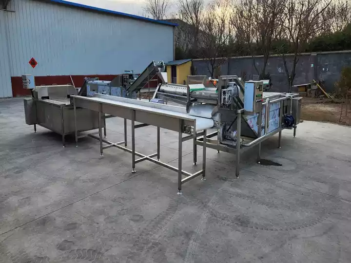 chicken feet processing line for factory