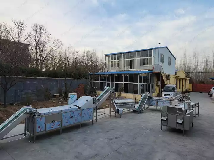 complete chicken feet production line