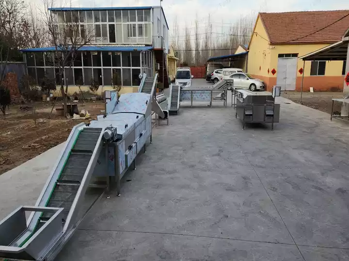 industrial chicken feet washing line
