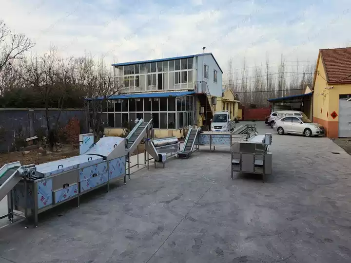 poultry chicken feet processing machine line