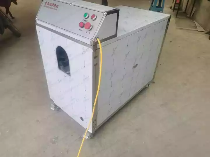 small scale fish killing machine