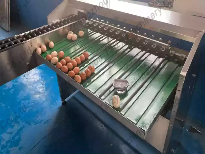 egg grading machine for India poultry farm