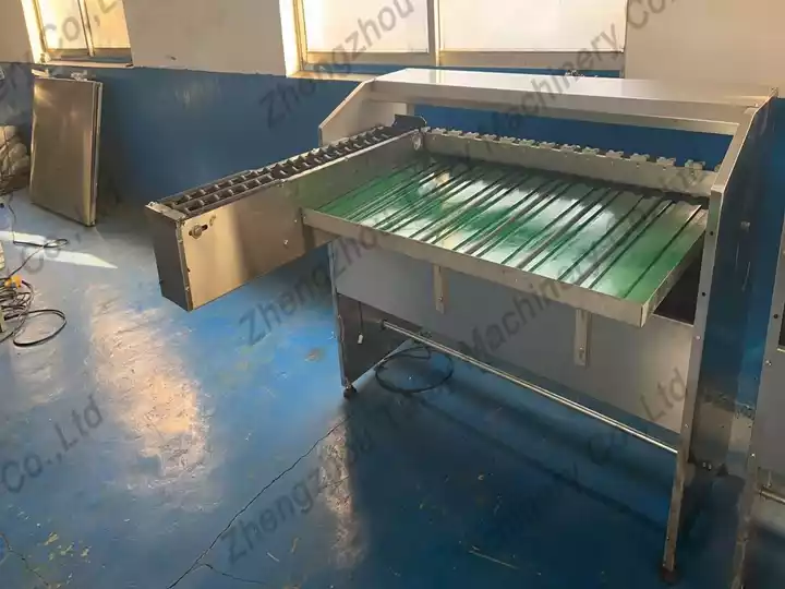 egg sorting equipment