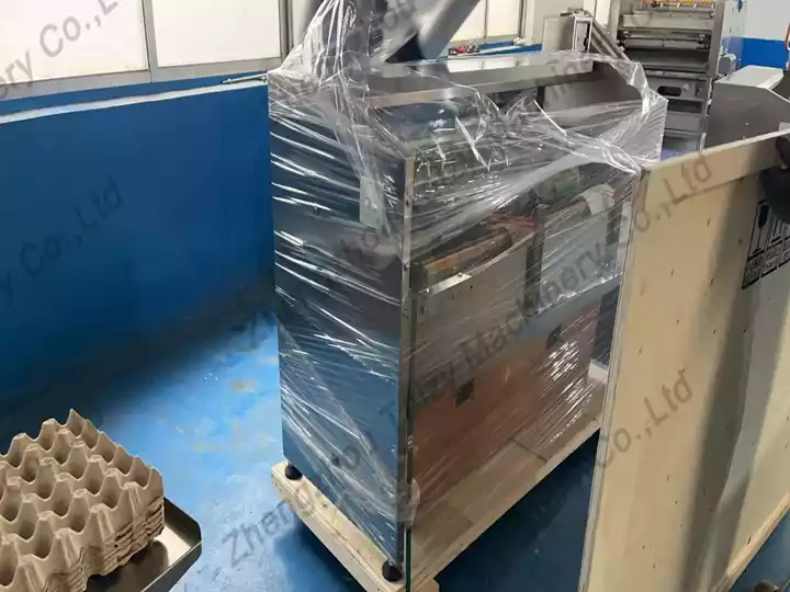 industrial egg grading machine India egg processing plant