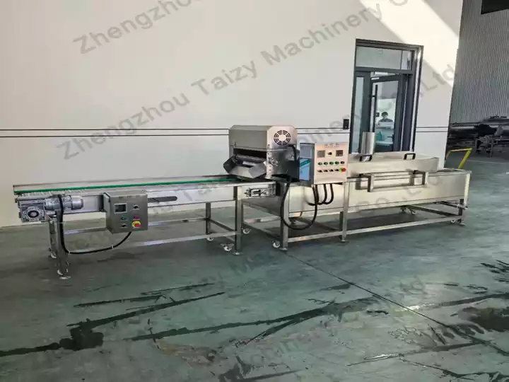 Continuous fryer