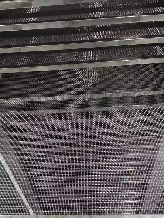 Continuous mesh belt dryer for vegetables