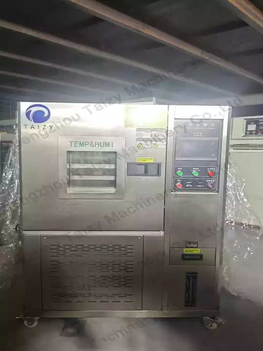 black garlic fermenting machine Argentina